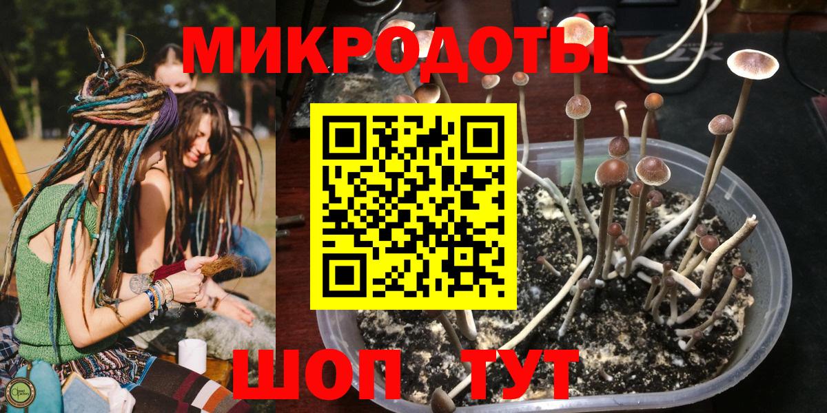 Павловский Посад  Псилоцибиновые грибы MAGIC MUSHROOMS  как найти закладки  Галлюциногенные грибы GOLDEN TEACHER  Вход с VPN 