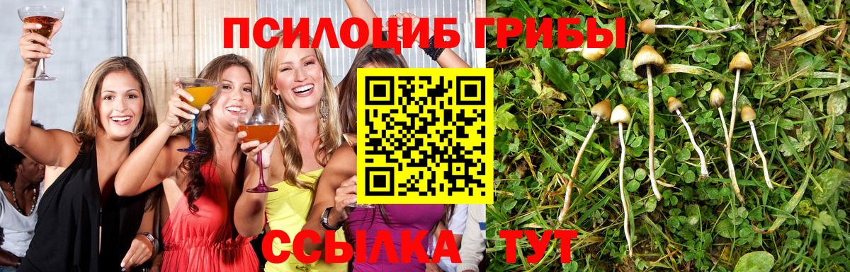 Псилоцибиновые грибы GOLDEN TEACHER Павловский Посад